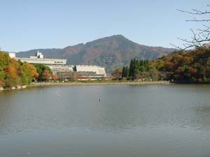 ���̤˱Ǥ��ݲ�ľ�