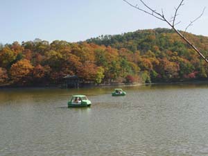 ����ǽ���롢���̤οͤ���