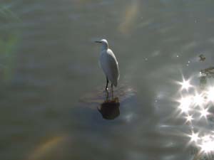 ���䤫�ʿ�Ļ