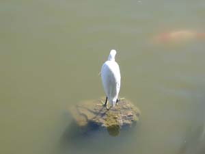 ����Ļ�⡦����