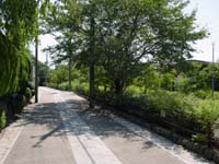 �缰��������ϩ