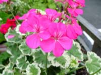 ���դ���ξ����ʼ�