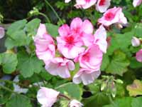 ���դ���ξ����ʼ�