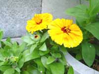 ���դ���ξ����ʼ�