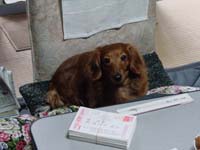 ʪ�ߤ���������